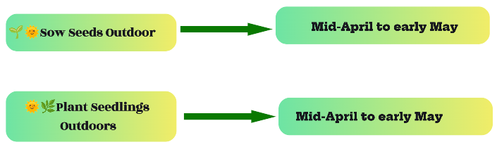 An informative image showing timing for direct planting lemograss