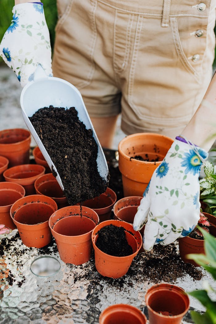 a person putting soil in the pot