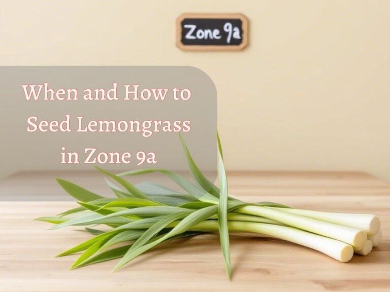 An image showcasing lemongrass and a wooden board with text "Zone 9a" and "When to Seed lemongrass in zone 9a"