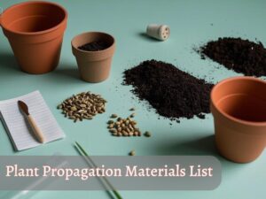 Plant Propagation Materials List