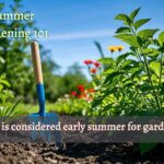 what is considered summer for gardening