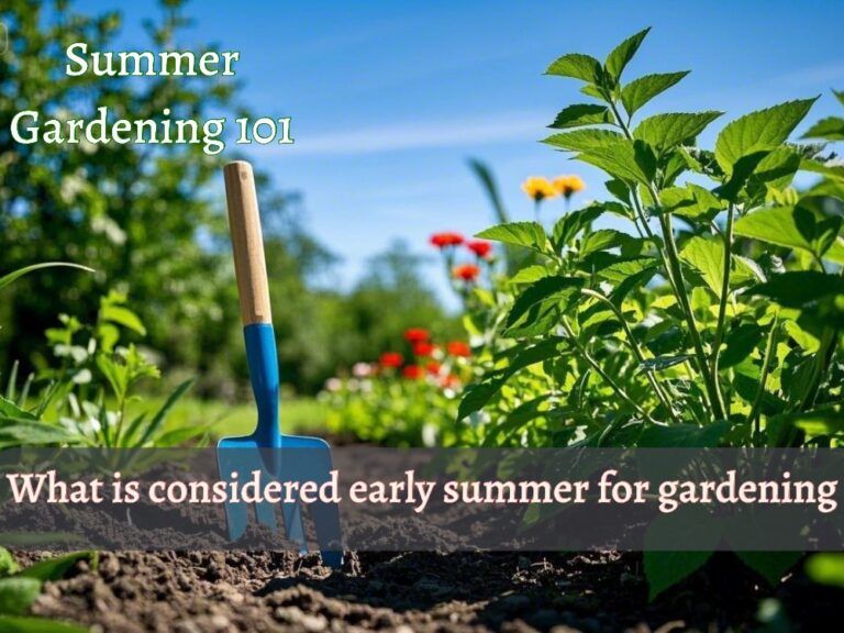 what is considered summer for gardening
