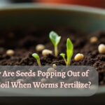 an image in which seeds are germinating with text "Why seeds are popping out o the soil when worms fertilize"