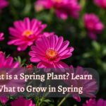 the image shows spring plants and text "What is spring plants"