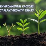 an image showcasing plant growth and text how environmental factors affect plant growth triats