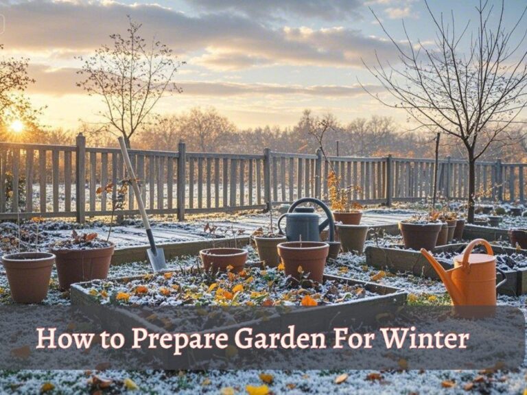 an image showcasing late fall to early winter with text "How to prepare garden for winter"