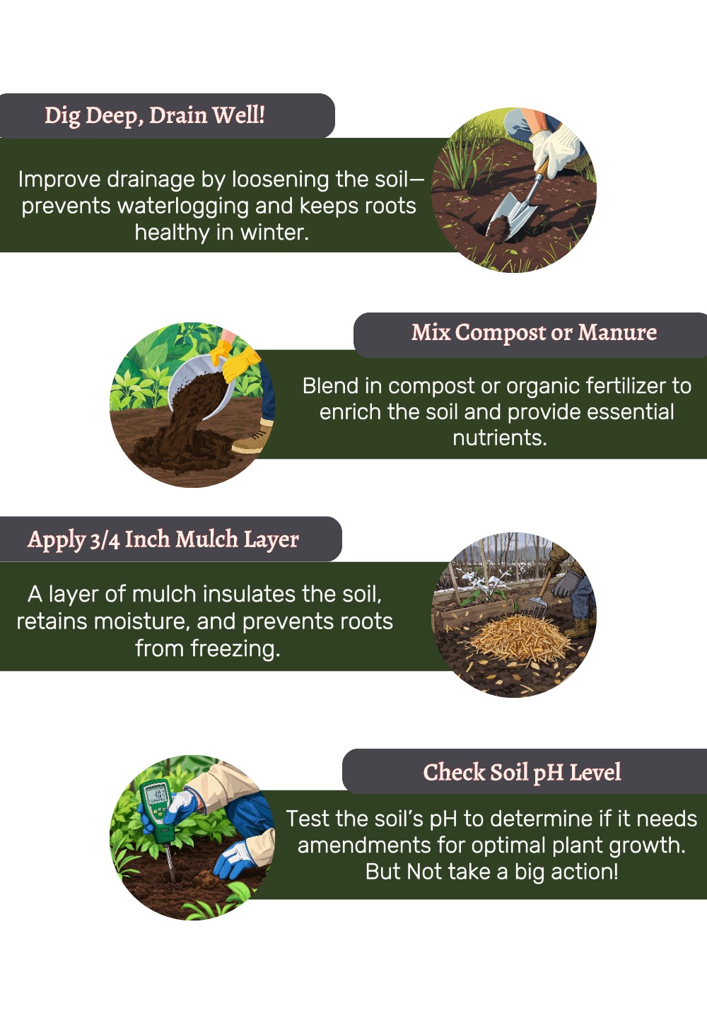 Prepare The Soil (2) An image showcasing the second step in how to prepare garden for winter "Prepare the soil"