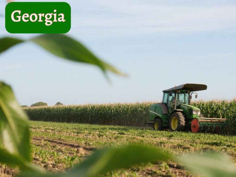 Georgia's growing season