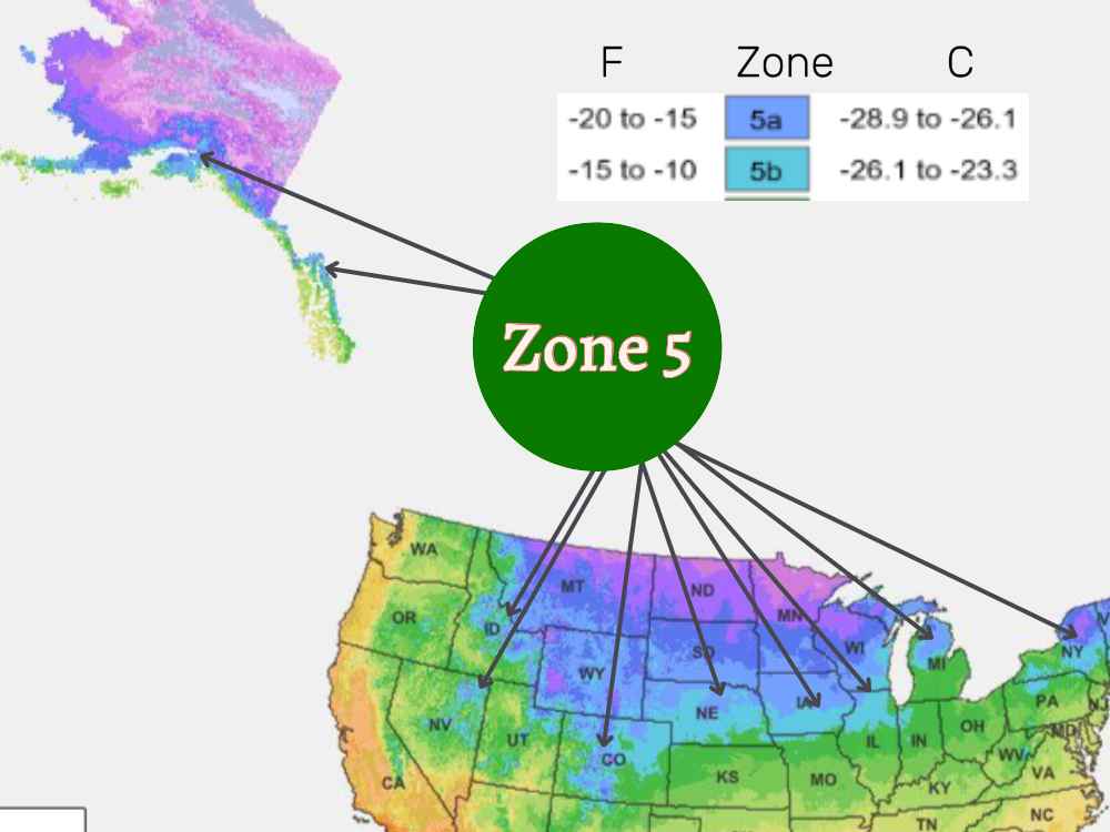 USDA zone 5 areas