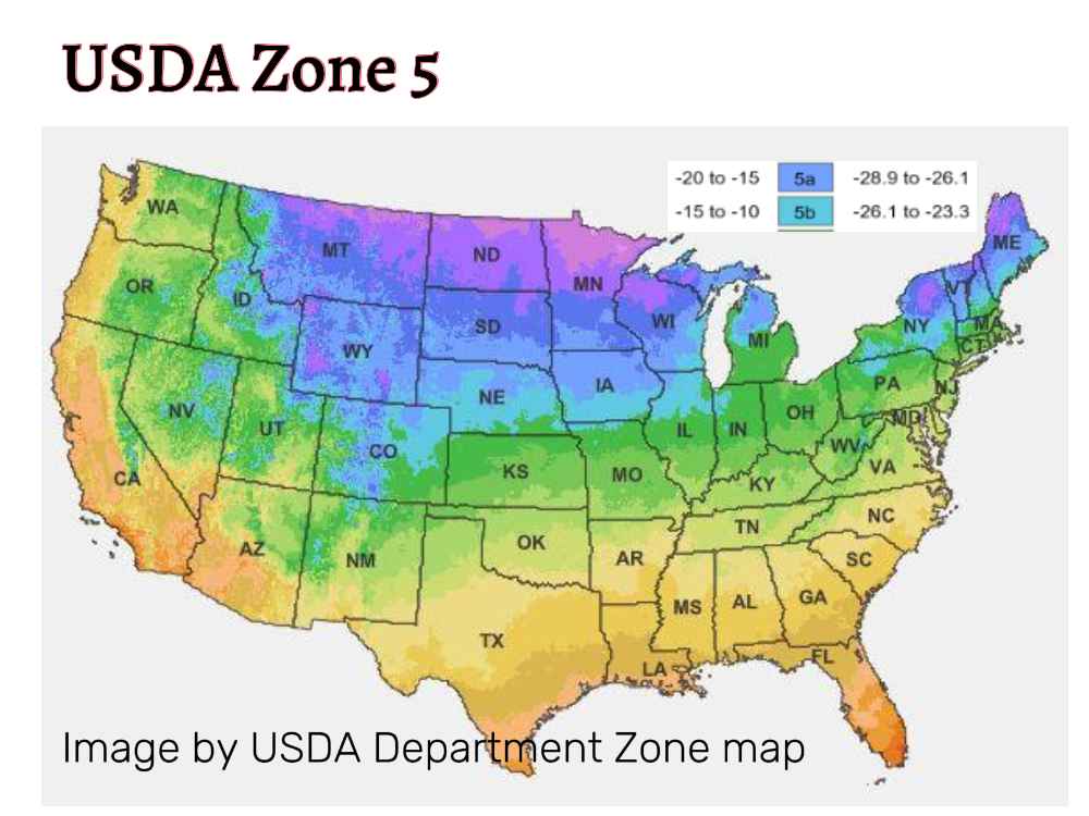 USD hardiness map: Zone 5