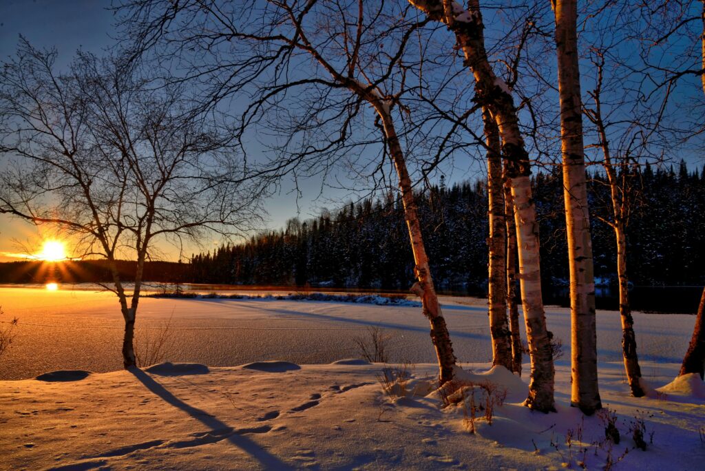 pexels-photo-259620-259620 A serene winter sunset casting shadows on a frozen lake surrounded by snow and trees.