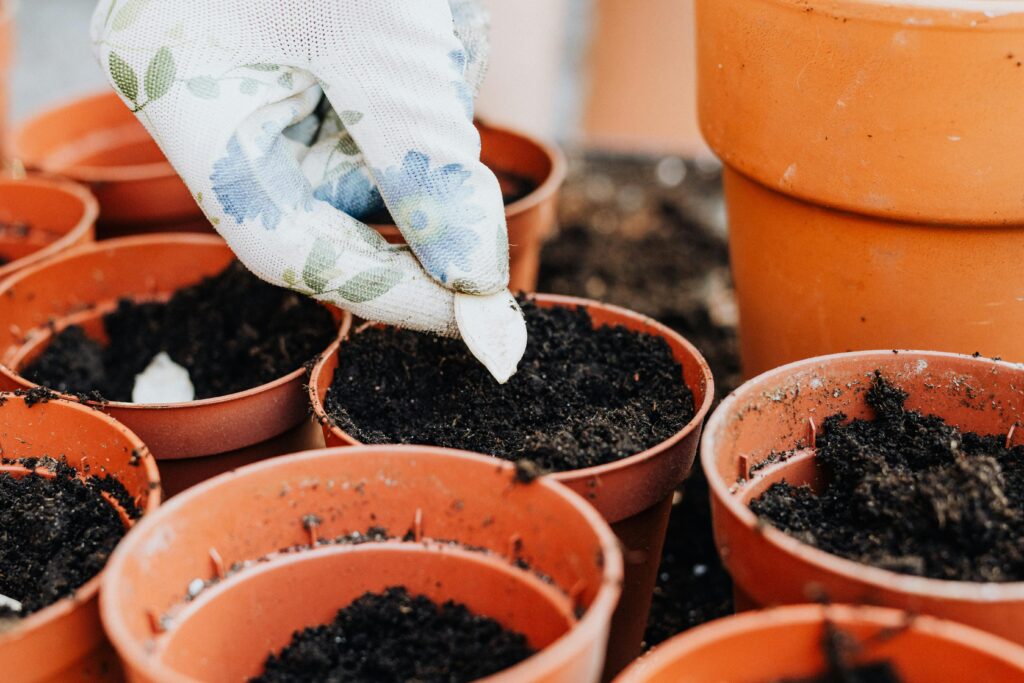 pexels-photo-4750391-4750391 Close-up of a gloved hand planting seeds in several small pots surrounded by soil.