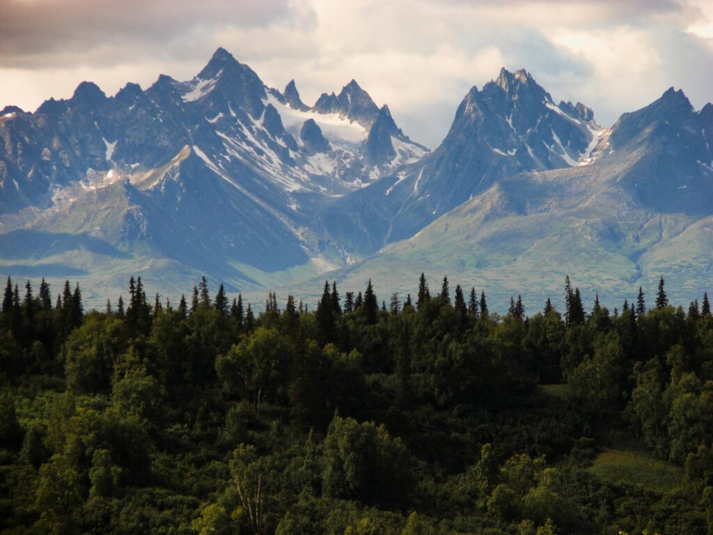 wood-landscape-mountains-nature-792 Breathtaking view of a rugged mountain range with lush green forest in the foreground.