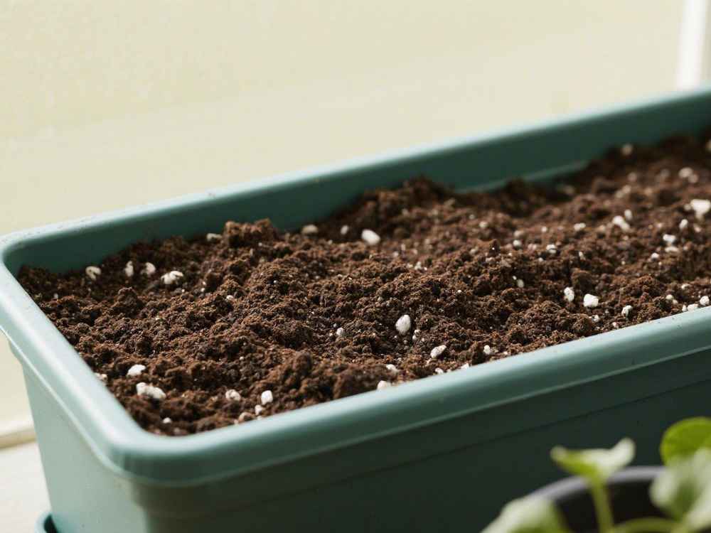 potting soil potting soil