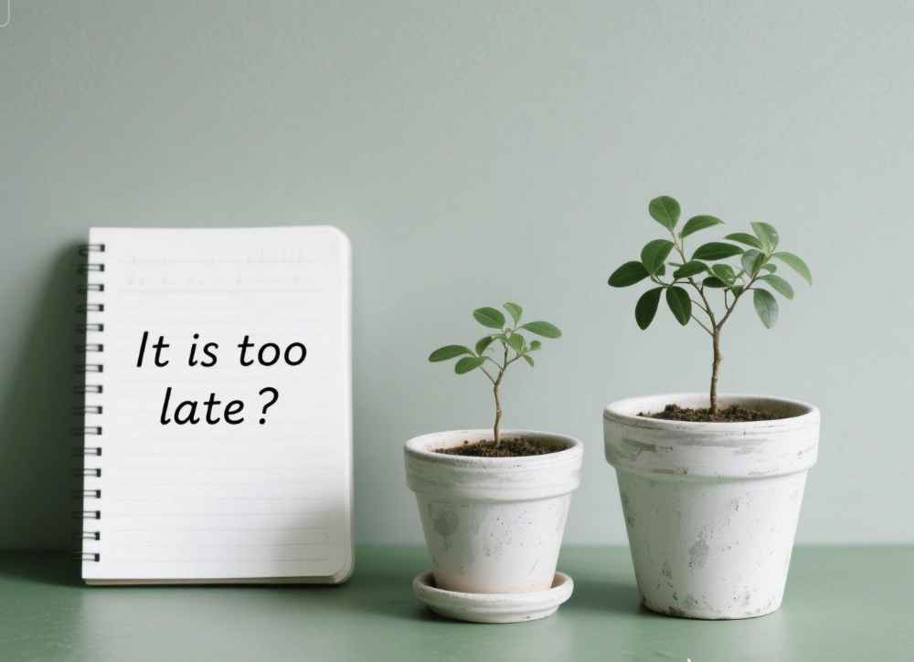 Can you plant trees in the fall Pots with trees, page with text "it is too late?"