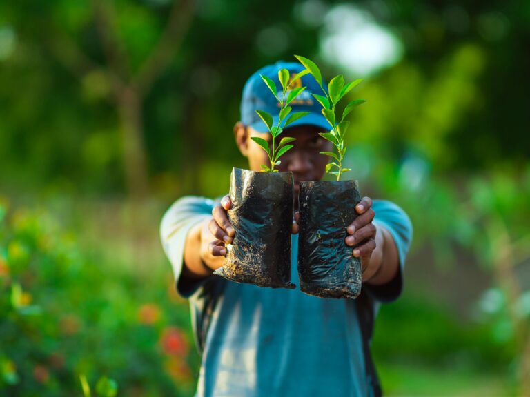 African man in Abuja holding saplings in a garden, promoting greenery and growth.