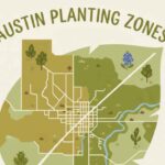 Austin Planting zones