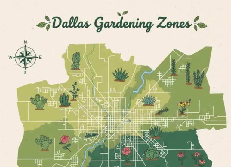 Dallas planting zones