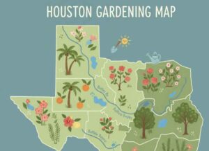 Houston planting zones