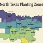 North Texas Planting Zones