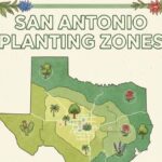 What Planting Zone is San Antonio