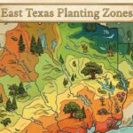 east texas planting zones