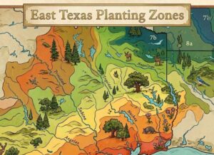 east texas planting zones