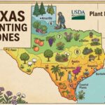 Texas planting zone