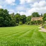 when to plant grass seeds in texas