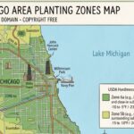 Chicago planting zones