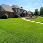 Zoysia Grass in lawn