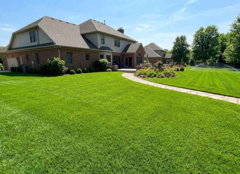 Zoysia Grass in lawn
