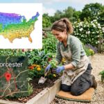 Worcester Planting zones