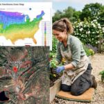 What Planting Zone Is Durango, Colorado?