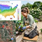 What Planting Zone Is Fort Collins, Colorado?