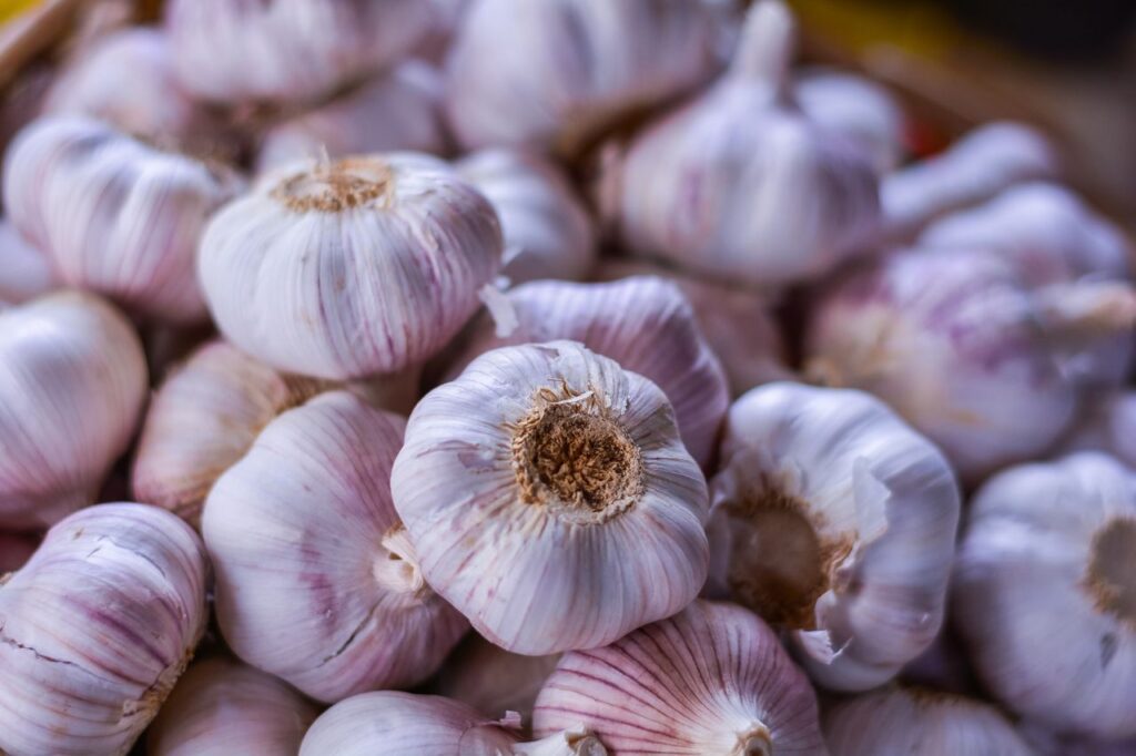 A detailed close-up of fresh garlic bulbs, highlighting their texture and color.