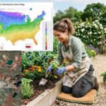 What Planting Zone Is Boulder, Colorado?