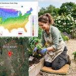planting zone