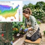 planting zone