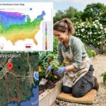 planting zone