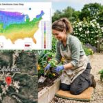 Planting Zone