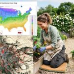 What Planting Zone Is Montrose, Colorado?