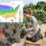 What Planting Zone Is Monument, Colorado?