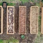 Top view of wooden boxes with piles of firewood wood chips sawdust and coal placed on ground in agricultural plantation